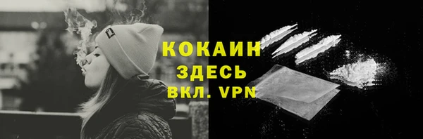 сатива Баксан