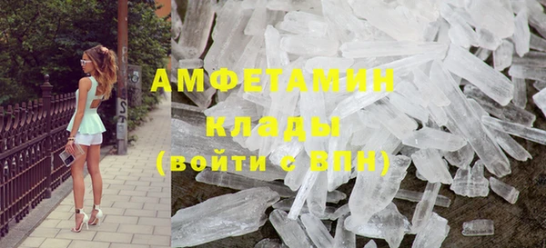 сатива Баксан