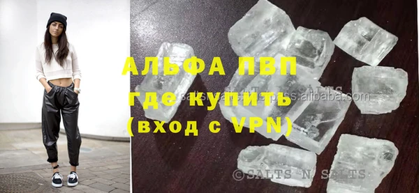 сатива Баксан