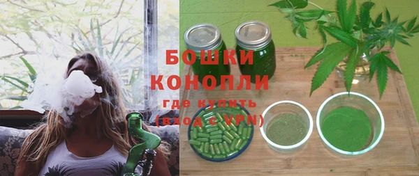 сатива Баксан