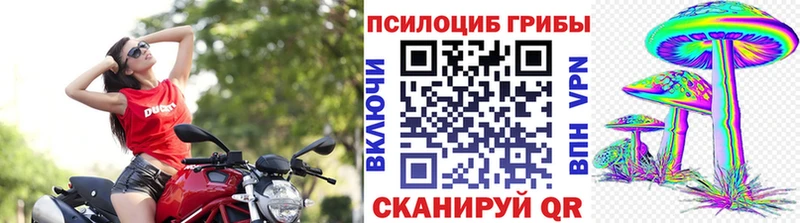 Псилоцибиновые грибы MAGIC MUSHROOMS купить цена Верхний Тагил